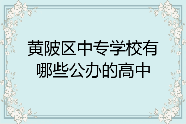 黄陂区中专学校有哪些公办的高中