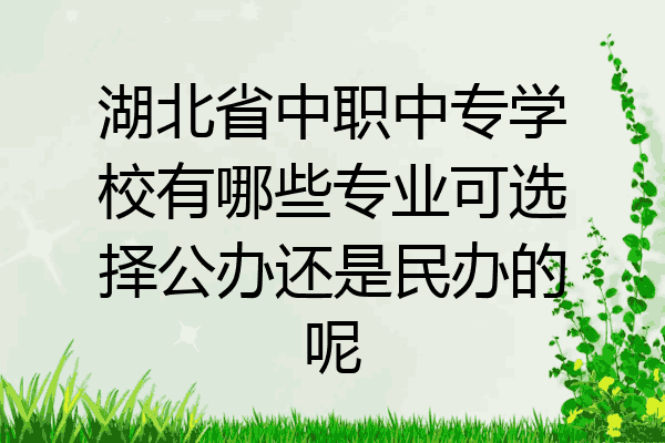 湖北省中职中专学校有哪些专业可选择公办还是民办的呢