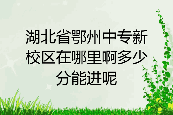湖北省鄂州中专新校区在哪里啊多少分能进呢