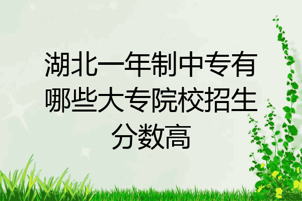 湖北一年制中专有哪些大专院校招生分数高