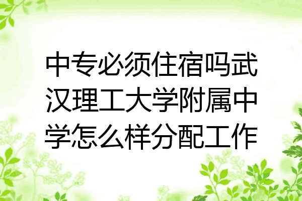 中专必须住宿吗武汉理工大学附属中学怎么样分配工作