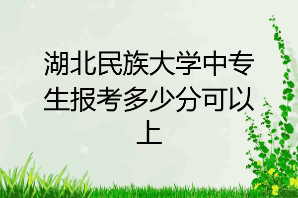 湖北民族大学中专生报考多少分可以上