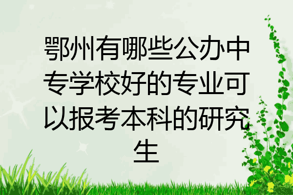 鄂州有哪些公办中专学校好的专业可以报考本科的研究生