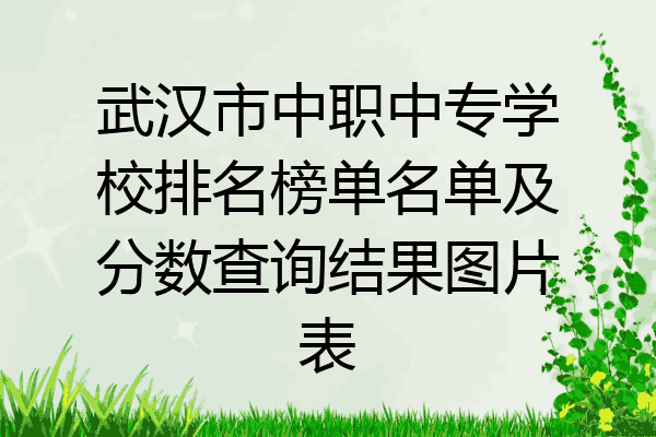 武汉市中职中专学校排名榜单名单及分数查询结果图片表