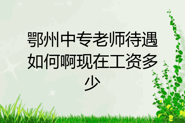 鄂州中专老师待遇如何啊现在工资多少