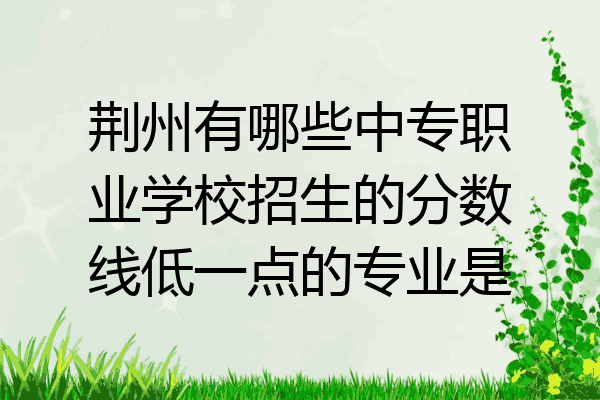 荆州有哪些中专职业学校招生的分数线低一点的专业是
