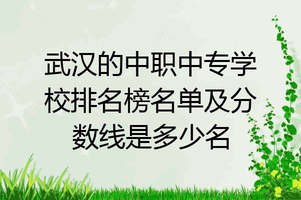 武汉的中职中专学校排名榜名单及分数线是多少名
