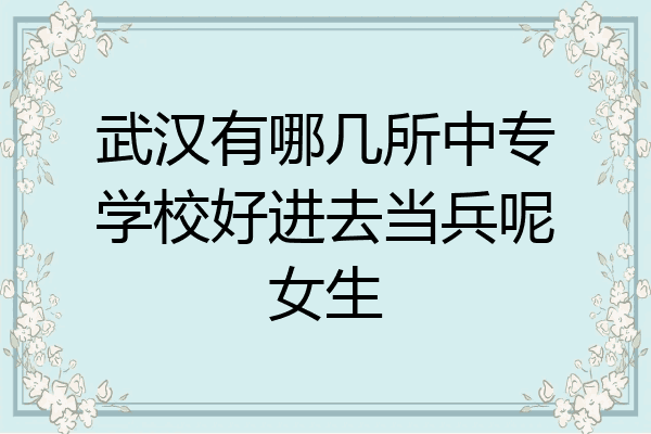 武汉有哪几所中专学校好进去当兵呢女生