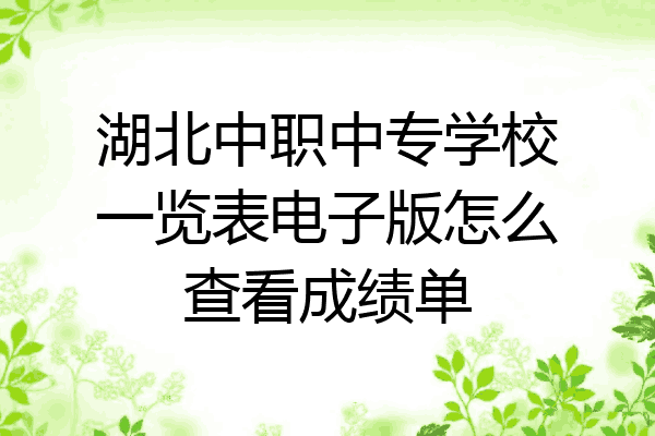 湖北中职中专学校一览表电子版怎么查看成绩单
