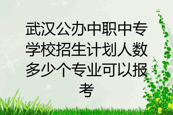 武汉公办中职中专学校招生计划人数多少个专业可以报考