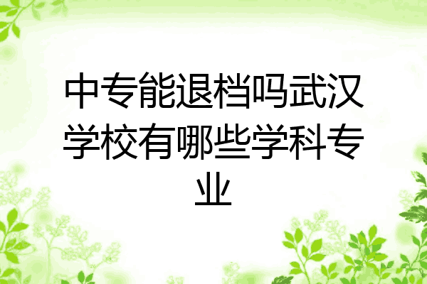 中专能退档吗武汉学校有哪些学科专业