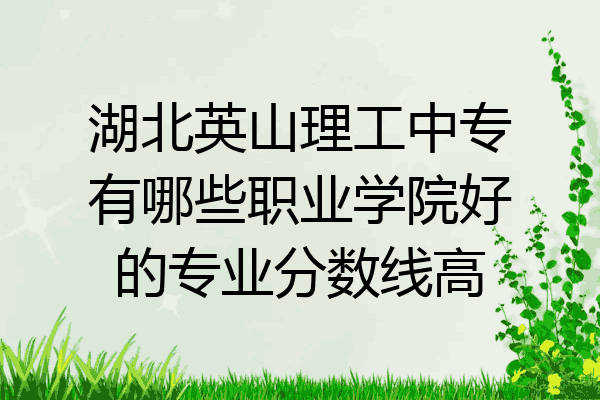 湖北英山理工中专有哪些职业学院好的专业分数线高