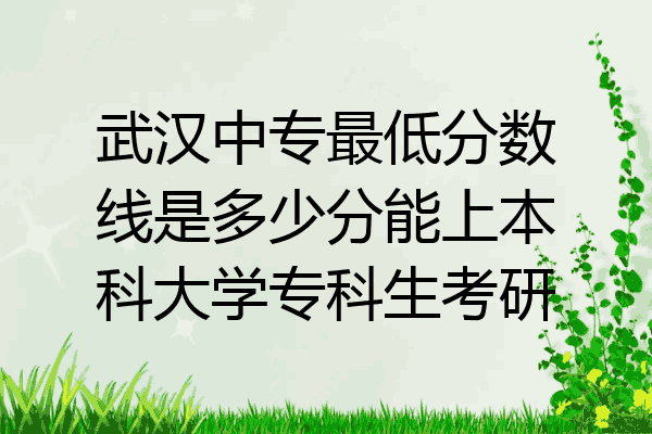 武汉中专最低分数线是多少分能上本科大学专科生考研