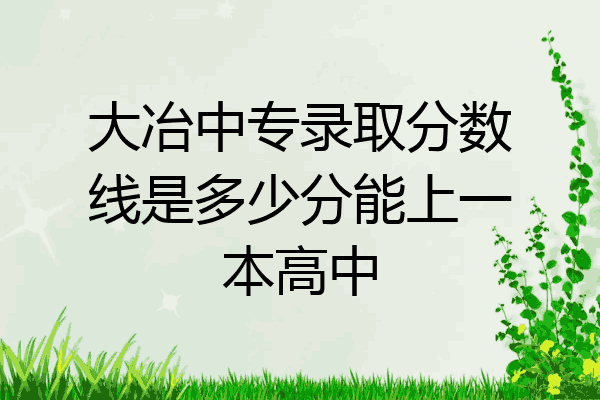 大冶中专录取分数线是多少分能上一本高中