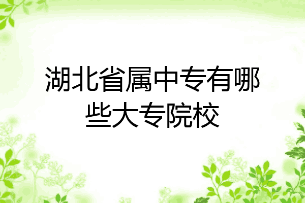湖北省属中专有哪些大专院校