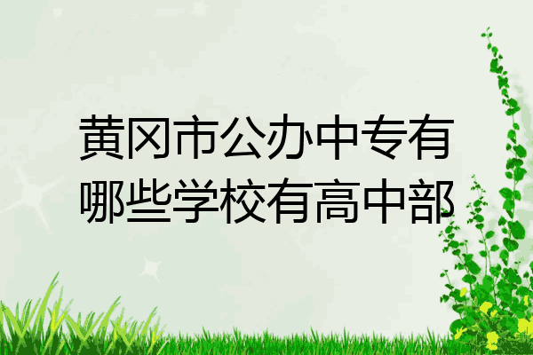 黄冈市公办中专有哪些学校有高中部