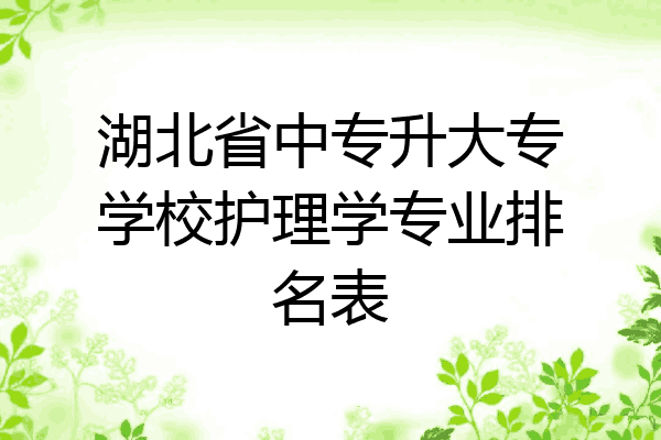 湖北省中专升大专学校护理学专业排名表