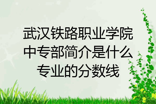 武汉铁路职业学院中专部简介是什么专业的分数线