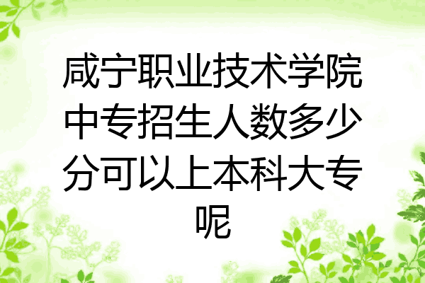 咸宁职业技术学院中专招生人数多少分可以上本科大专呢