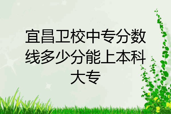 宜昌卫校中专分数线多少分能上本科大专