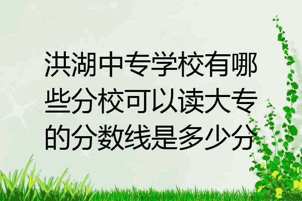 洪湖中专学校有哪些分校可以读大专的分数线是多少分