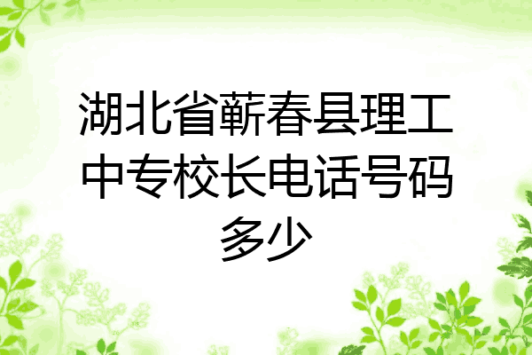 湖北省蕲春县理工中专校长电话号码多少
