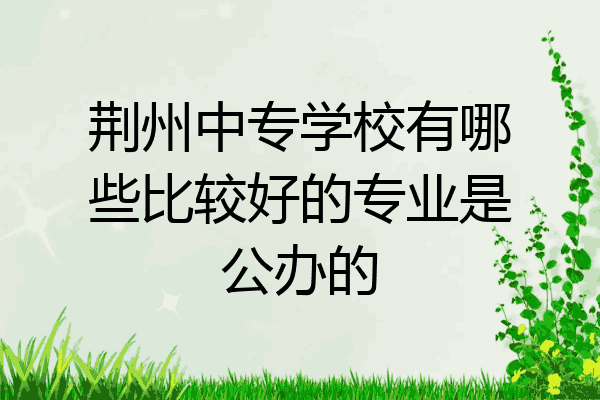 荆州中专学校有哪些比较好的专业是公办的