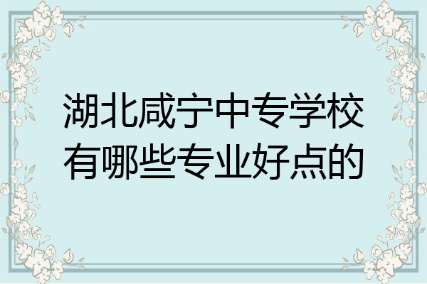 湖北咸宁中专学校有哪些专业好点的