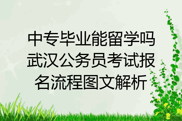 中专毕业能留学吗武汉公务员考试报名流程图文解析