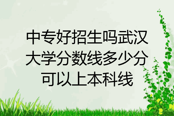 中专好招生吗武汉大学分数线多少分可以上本科线