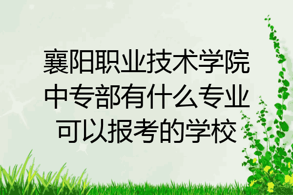 襄阳职业技术学院中专部有什么专业可以报考的学校