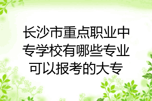 长沙市重点职业中专学校有哪些专业可以报考的大专