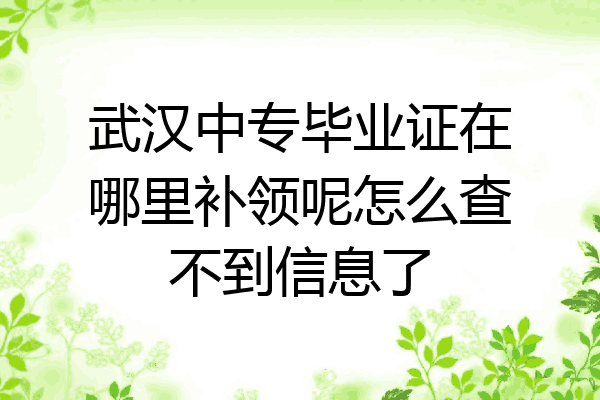 武汉中专毕业证在哪里补领呢怎么查不到信息了