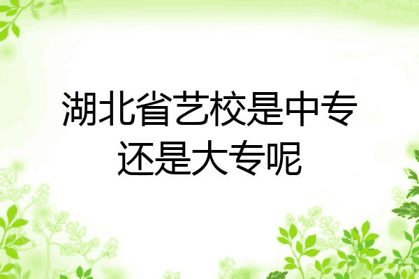 湖北省艺校是中专还是大专呢