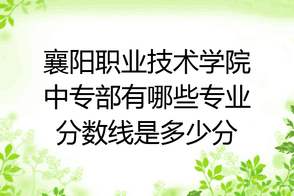 襄阳职业技术学院中专部有哪些专业分数线是多少分
