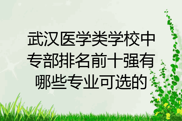 武汉医学类学校中专部排名前十强有哪些专业可选的