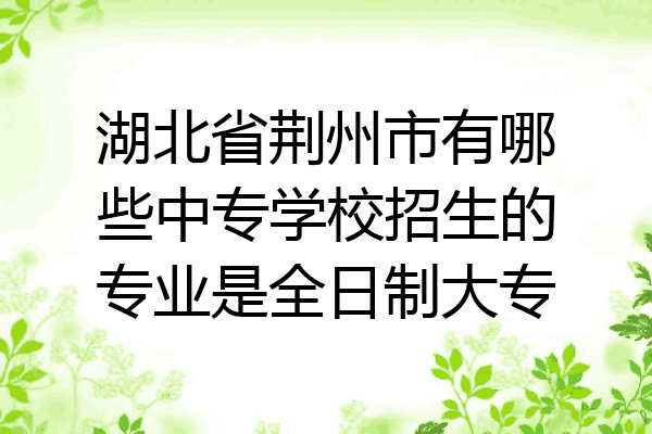 湖北省荆州市有哪些中专学校招生的专业是全日制大专