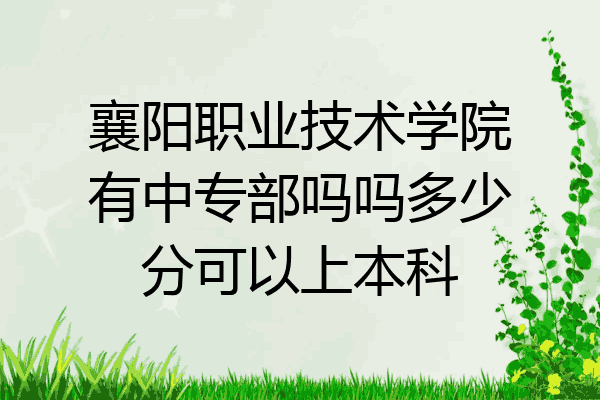 襄阳职业技术学院有中专部吗吗多少分可以上本科