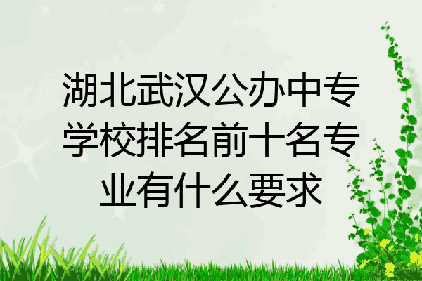 湖北武汉公办中专学校排名前十名专业有什么要求