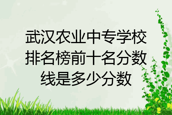 武汉农业中专学校排名榜前十名分数线是多少分数