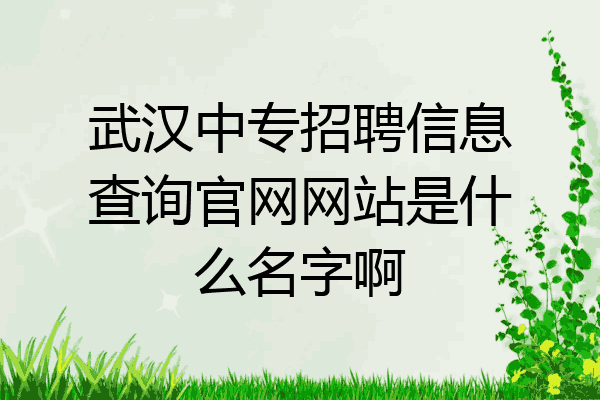 武汉中专招聘信息查询官网网站是什么名字啊