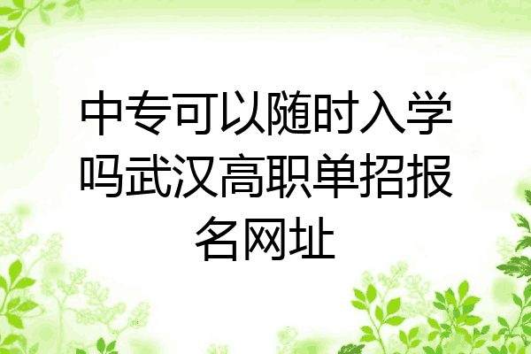 中专可以随时入学吗武汉高职单招报名网址