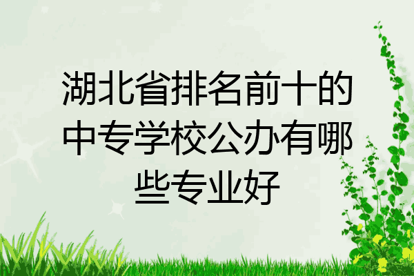 湖北省排名前十的中专学校公办有哪些专业好