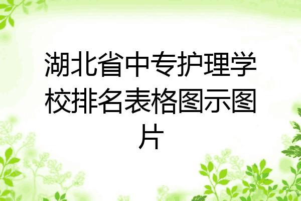 湖北省中专护理学校排名表格图示图片