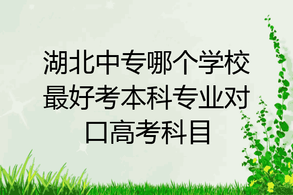 湖北中专哪个学校最好考本科专业对口高考科目