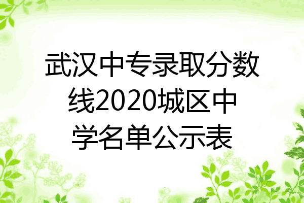 武汉中专录取分数线2020城区中学名单公示表