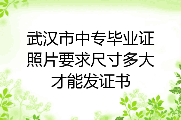 武汉市中专毕业证照片要求尺寸多大才能发证书