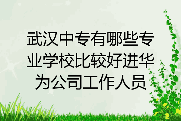 武汉中专有哪些专业学校比较好进华为公司工作人员