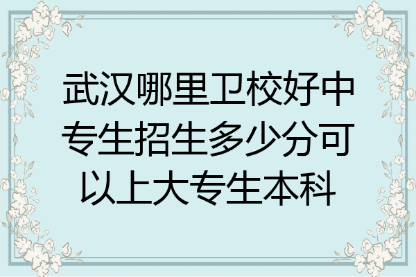 武汉哪里卫校好中专生招生多少分可以上大专生本科