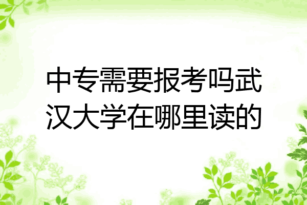 中专需要报考吗武汉大学在哪里读的